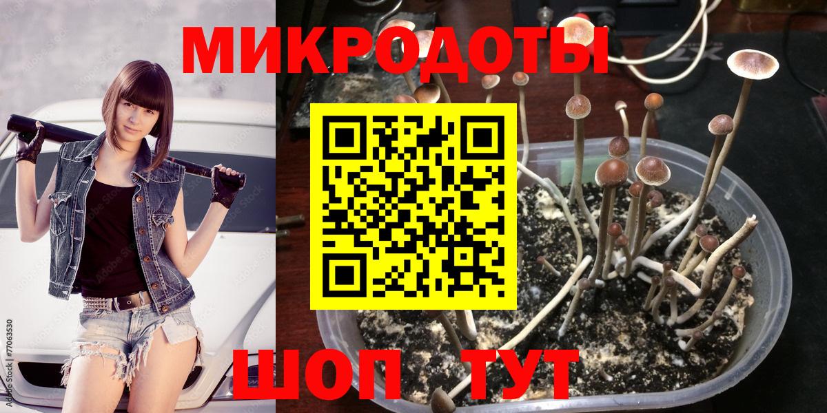 где купить наркоту  Ивантеевка  Галлюциногенные грибы прущие грибы  Псилоцибиновые грибы прущие грибы 