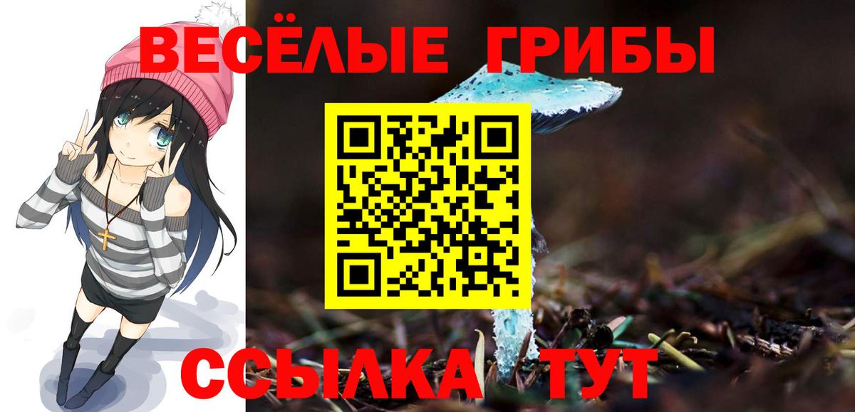 Галлюциногенные грибы GOLDEN TEACHER Ивантеевка